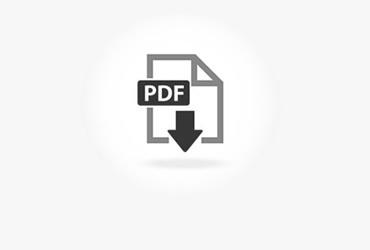 Button zum Download der PDF Dateien